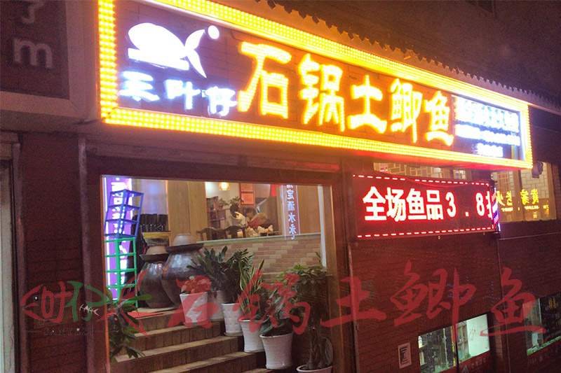 海鱼巴沙鱼是什么鱼